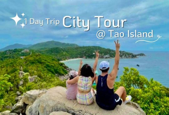 city tour tao Island